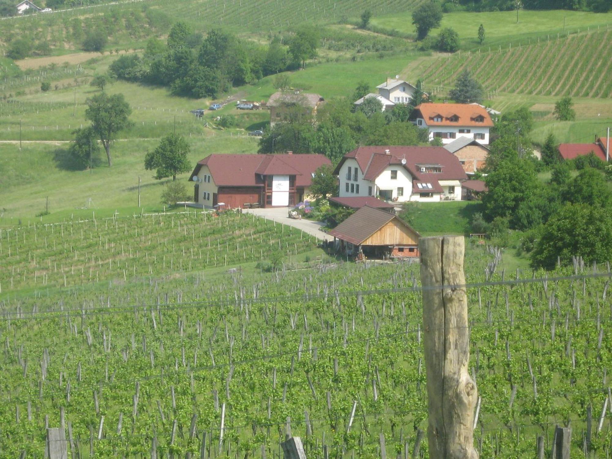 Tourist Farm Joannes Hotel Maribor Eksteriør billede